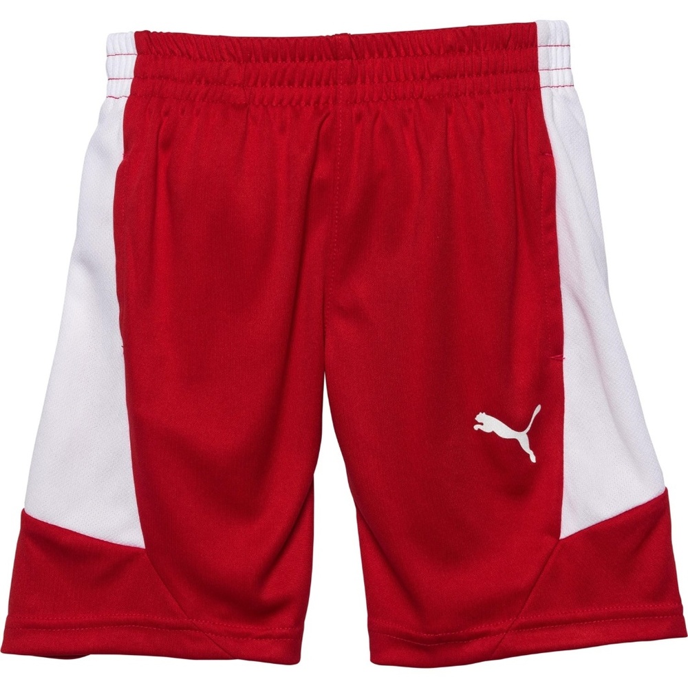 Puma color-block high-performance Red Shorts SZ 4